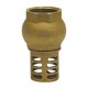Vertical foot valve - ''Etoile series" - Brass check valve NBR coating